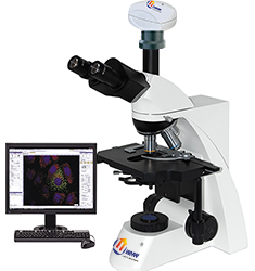 BIAS-724 正置光学生物显微镜分析系统