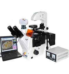 FBAS-200 倒置无限远相衬四色落射荧光显微镜分析系统