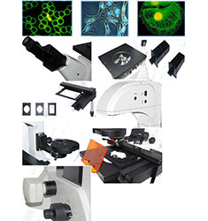 FM-200 倒置无限远落射荧光显微镜