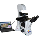 BIAS-300 倒置相衬生物显微镜分析系统