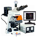 FBAS-400 荧光显微镜分析系统