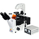 FM-200 荧光显微镜