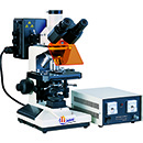 FM-300 荧光显微镜