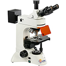 FM-600 荧光显微镜
