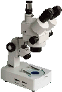 XTZ-E 三目连续变倍体视显微镜